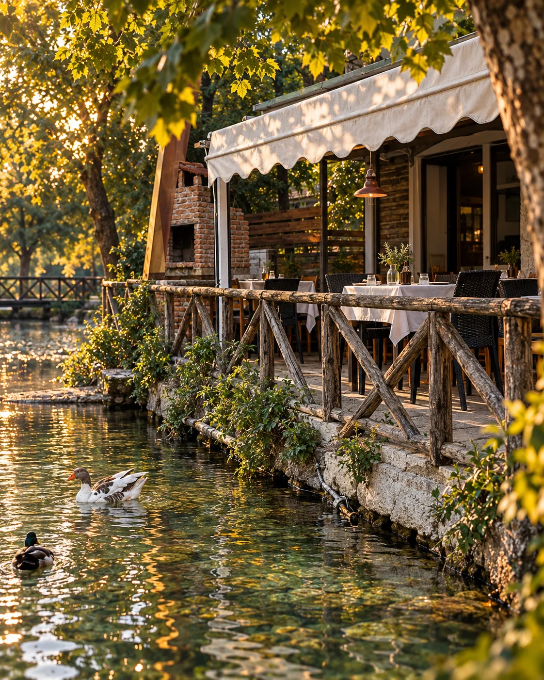 Η πραγματική παραλίμνια βεράντα της ταβέρνας με ξύλινο κάγκελο και πάπιες